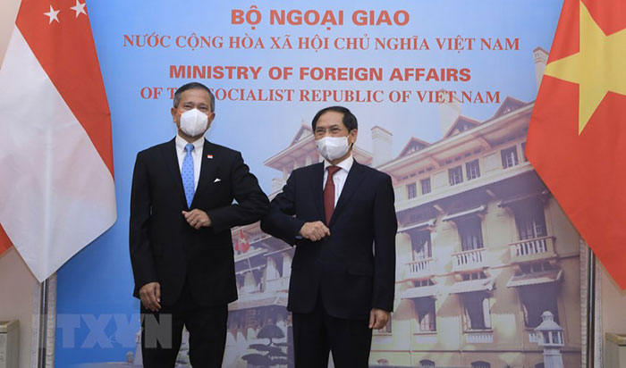 越南外交部长裴青山举行新加坡外长的欢迎仪式并举行会谈（组图）