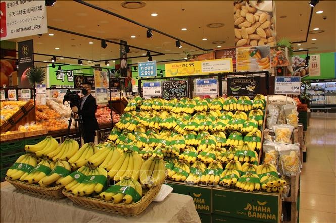 促进向韩国出口越南新鲜和加工水果产品