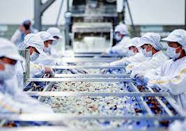 今年上半年，越南对东盟的商品出口价值呈增长趋势