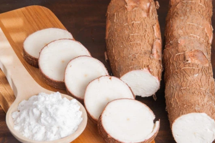 今年上半年，越南木薯及其制品出口创汇达6 1169亿美元