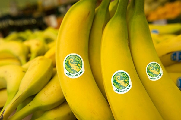 韩国增加越南香蕉进口量