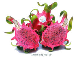 越南山萝省向俄罗斯出口10吨红心火龙果