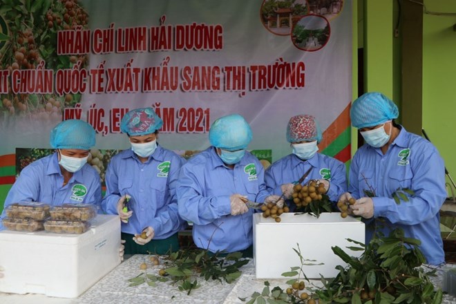 海阳省举行农产品产销对接会
