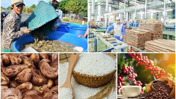 ​为出口中国的农产品企业纾困解难