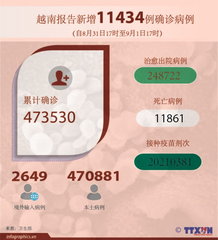 图表新闻：越南报告新增11434例确诊病例 新增死亡病例804例
