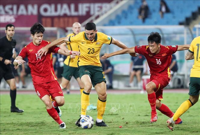 VFF提议FIFA和AFC加强裁判工作质量检查和评估