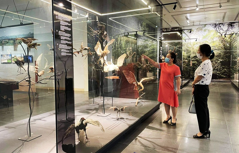 河内博物馆将成为富有河内特色的参观景点之一