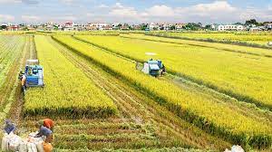 关于东南亚气候变化、农业和粮食安全计划在越南实施取得诸多成果