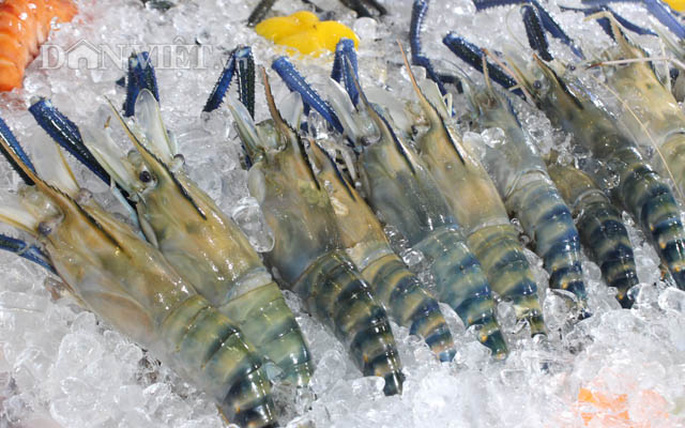 越南对俄罗斯的虾类出口额同比增加51