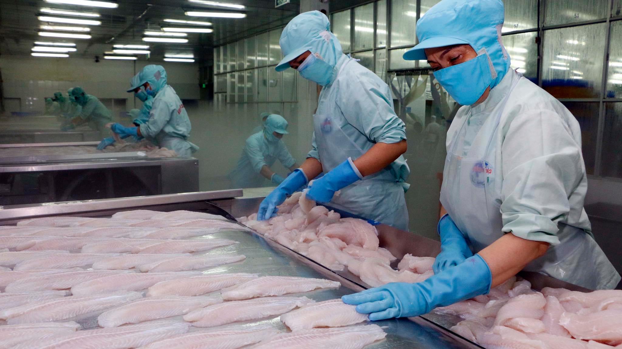 越南农林水产出口继续保持增长势头