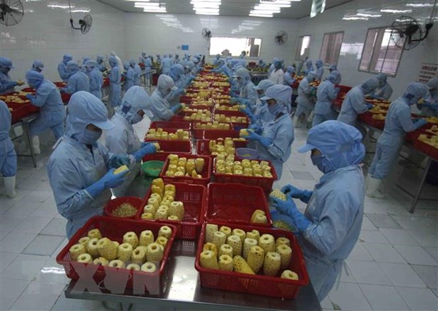 俄罗斯增加从越南进口加工的蔬菜水果