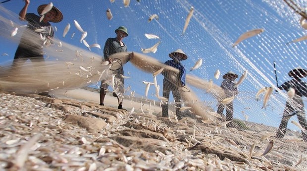 越南海洋岛屿：加强海洋经济可持续发展的科学论证
