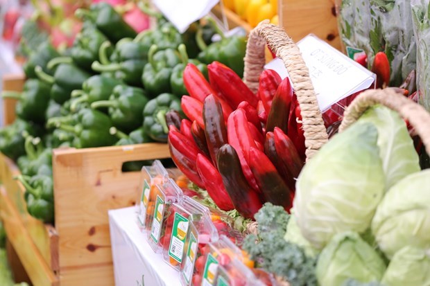 10月份河内市CPI环比下降0 03