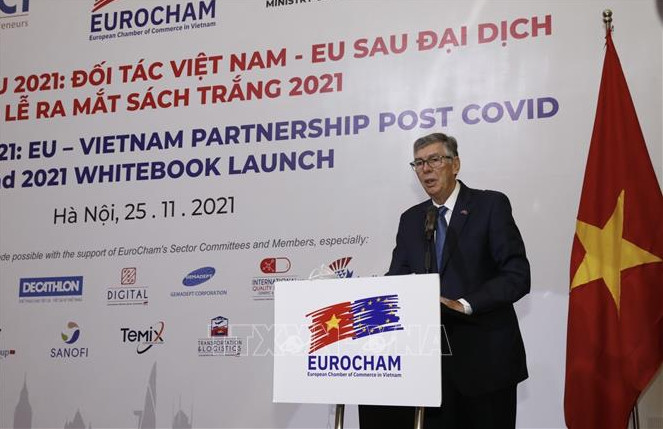 2021年相约欧洲：后新冠肺炎疫情时期的越欧伙伴关系