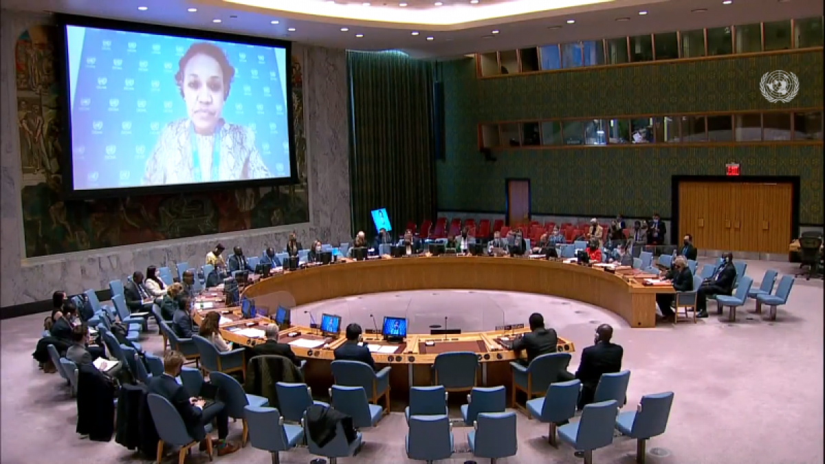 越南担任联合国安理会南苏丹问题委员会主席期间所做的贡献获好评