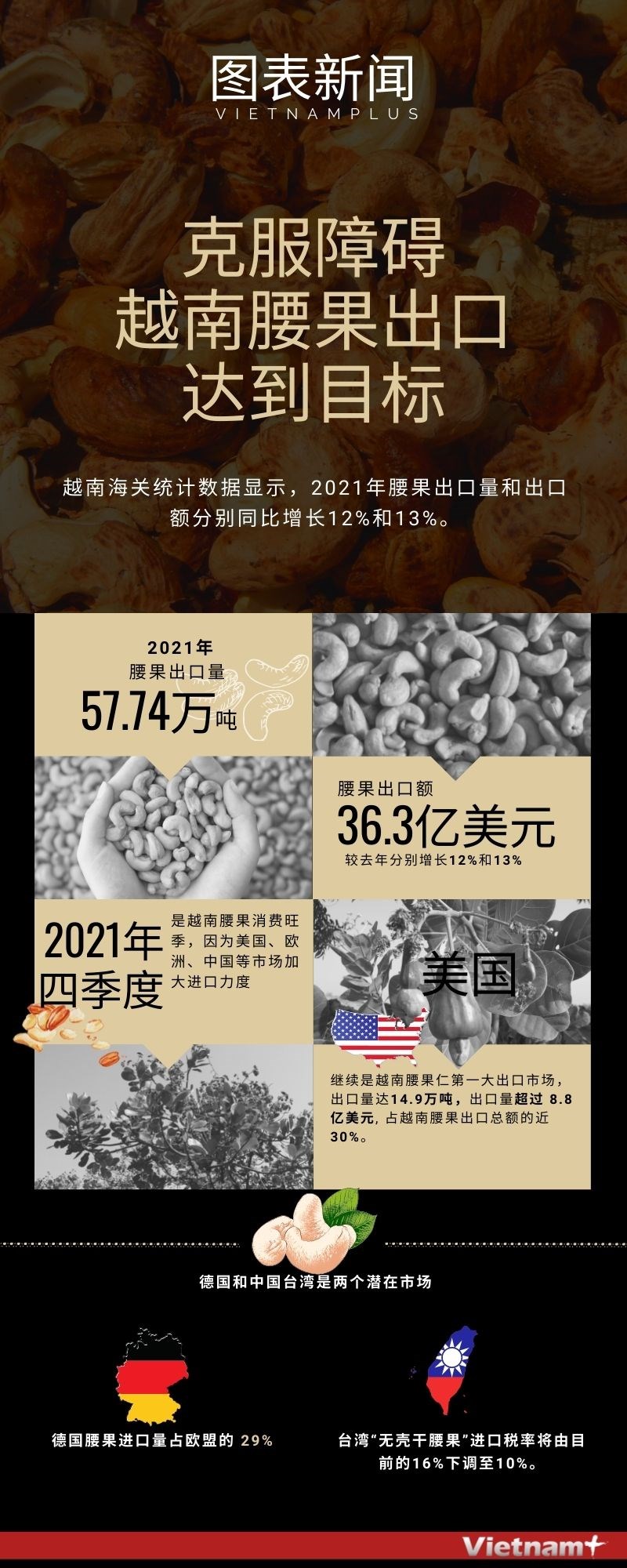图表新闻：克服障碍 越南腰果出口达到目标