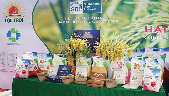 越南禄天集团向欧洲市场出口4千吨大米