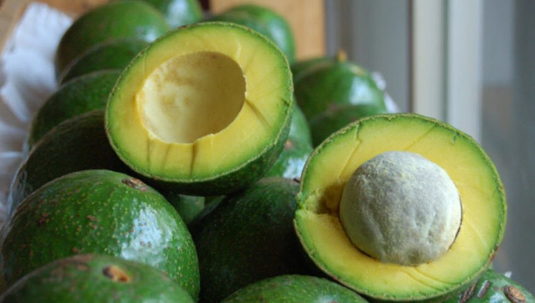 越南牛油果正式打入澳大利亚市场