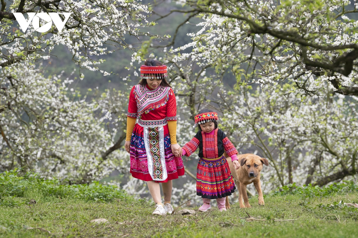 山罗省木州县蒙族同胞独特的过年习俗