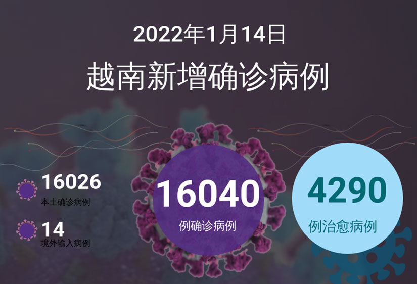 【Infographic】1月14日，越南全国报告新增新冠肺炎确诊病例16040例