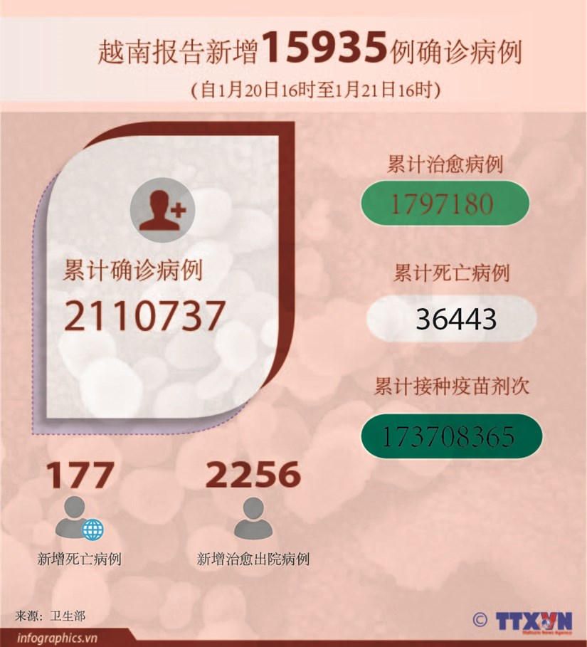 【Infographic】越南报告新增确诊病例 15935例