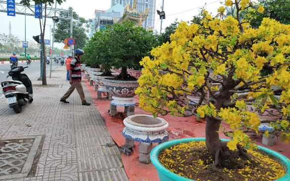 胡志明市2022年春季花卉节将于1月27日至2月6日举行