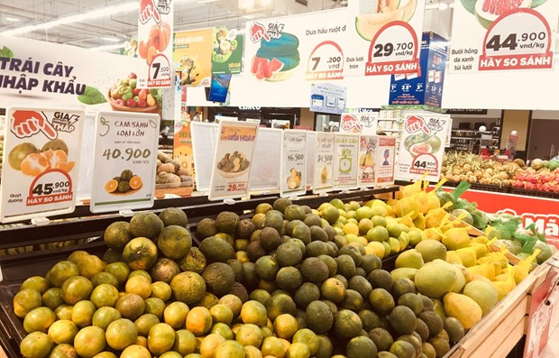 渣打银行：2022年越南经济增长率可达6 7