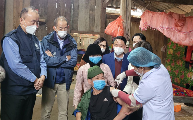 世卫组织西太平洋地区主任葛西健赴安沛省调研