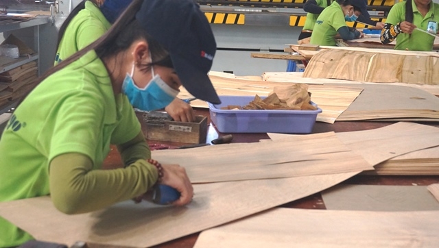 越南林业部门力争将出口目标定为180亿至200亿美元