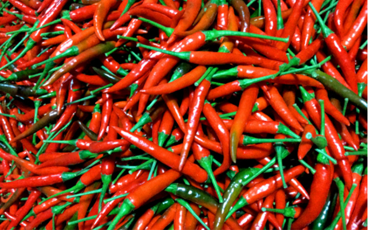 越南辣椒产品获准出口中国市场