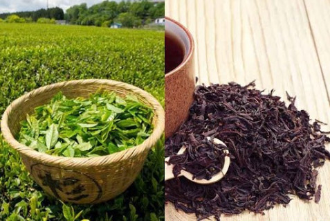 中国台湾增加对越南的茶叶进口量