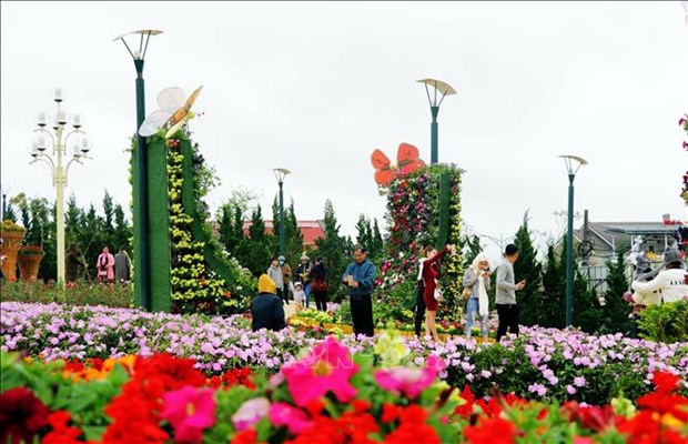 4·30和5·1假期大叻预计接待游客量达18万人次