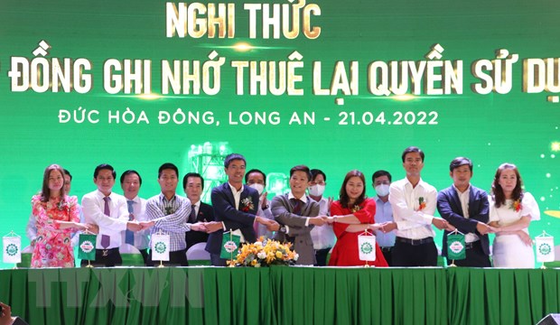 投资总额达5 3万亿越盾的隆安省南顺工业区正式开建