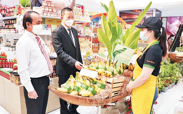 越南企业对拉美地区的投资机遇广阔