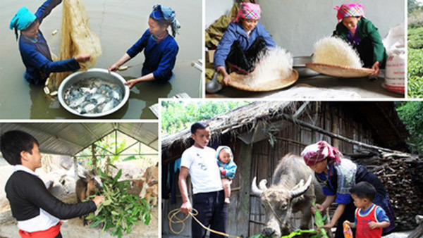 世行：越南贫困率明显下降