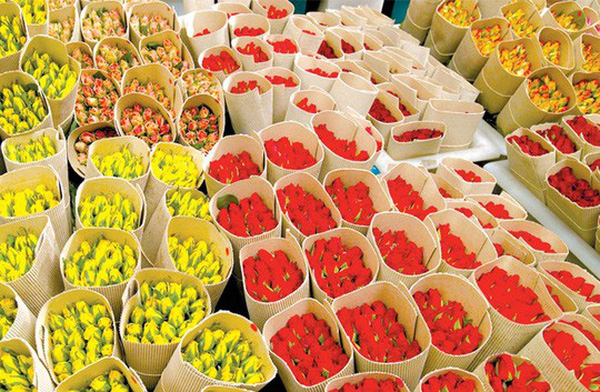 越南是日本第六大花卉供应国