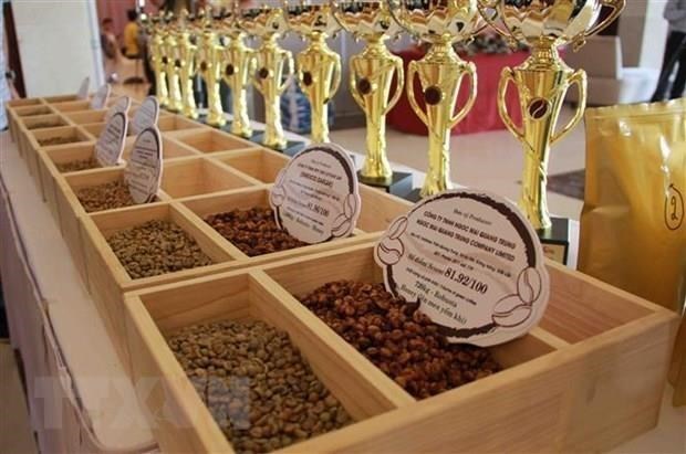 越南和非洲促进贸易投资合作