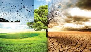 联合国报告：2021年四项气候变化关键指标破纪录