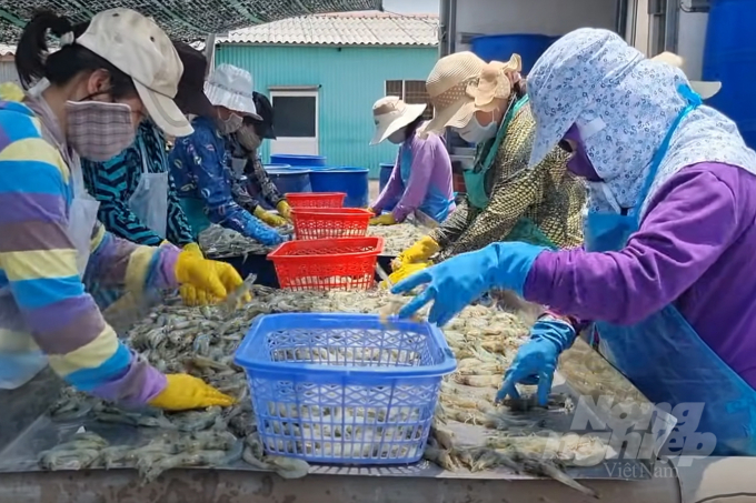 2022年第二季度越南水产品出口额或创纪录