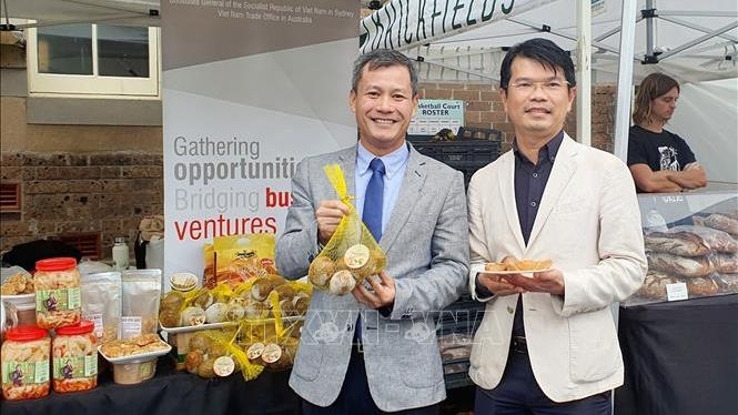 越南向澳大利亚消费者推广人心果