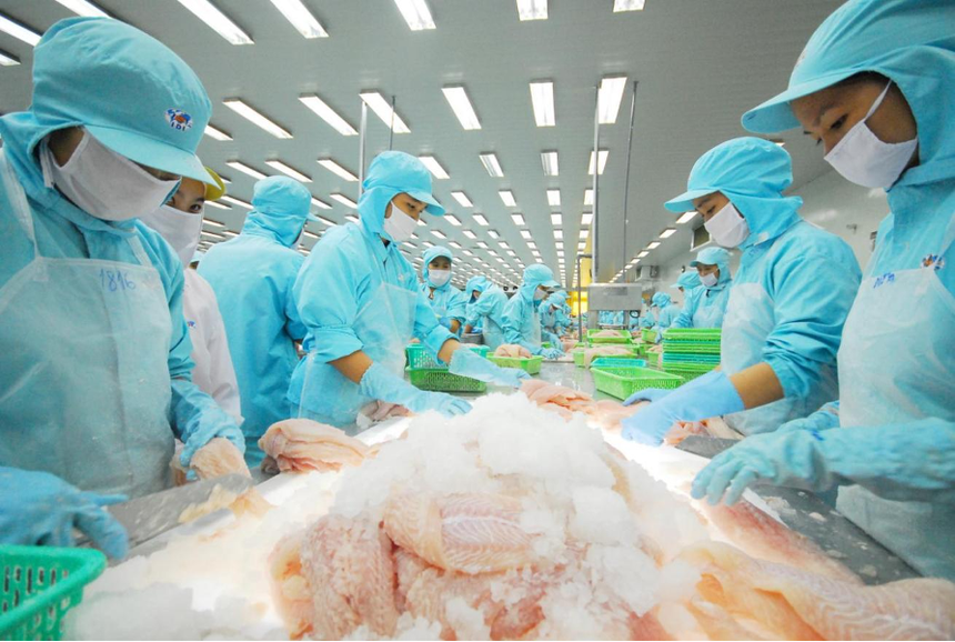 越南楂鱼出口活动释放积极信号