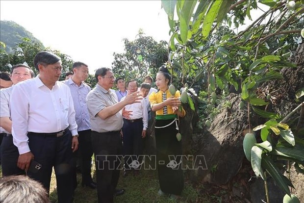 范明正总理在和平与山罗两省进行视察调研