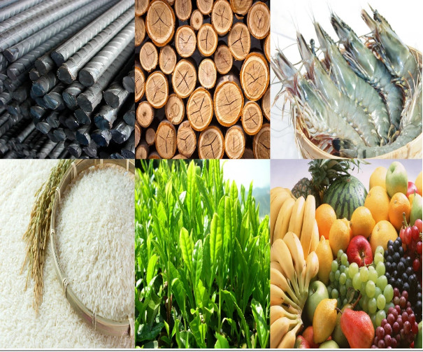 2021年越南与巴西贸易进出口总额创历史新高