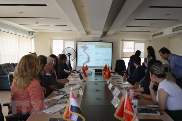 越南和埃及企业论坛举行