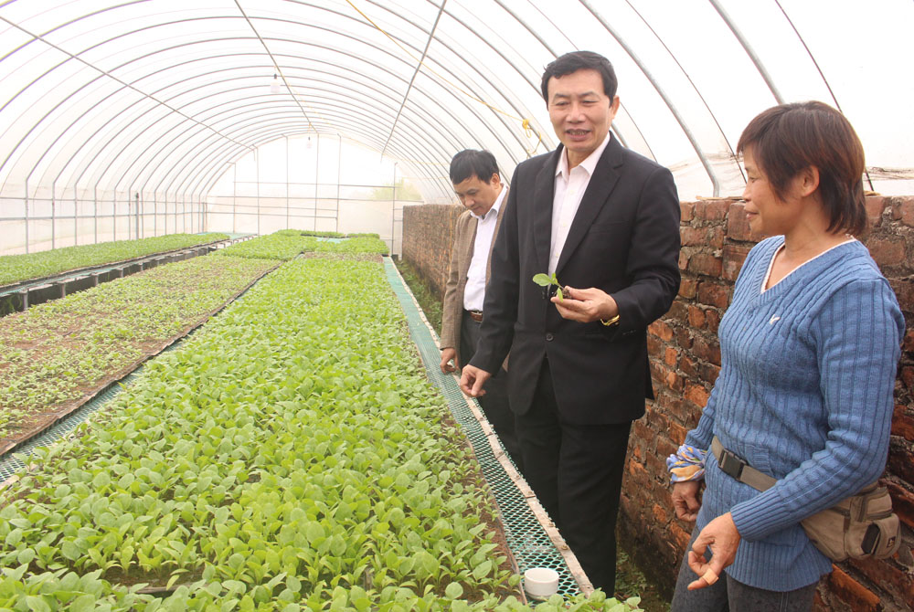 Hà Nội Tái cơ cấu nền nông nghiệp gắn với xây dựng nông thôn mới