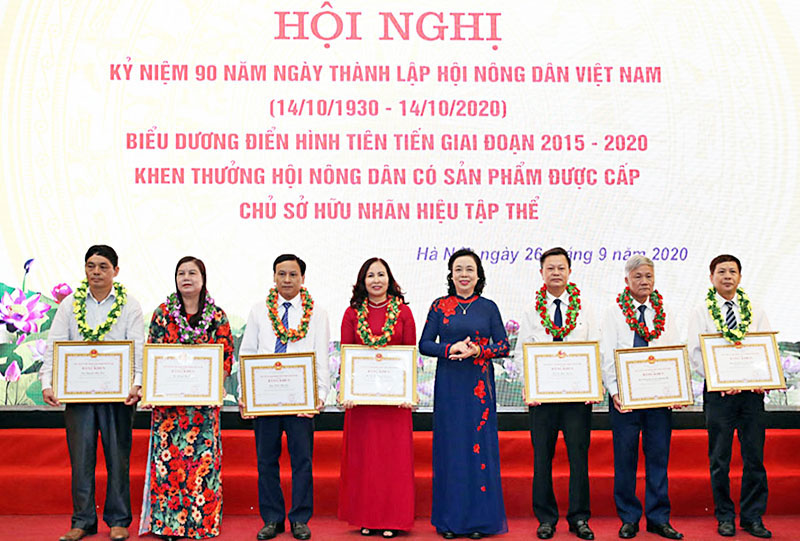 Phát huy vai trò của Hội nông dân trong xây dựng nông thôn hiện đại