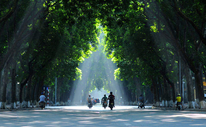 Vì một Hà Nội xanh