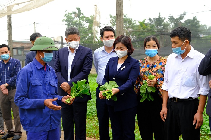 Hoàn thiện các tiêu chí, sớm xây dựng huyện Hoài Đức thành quận