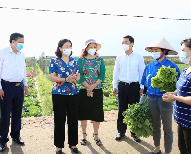 Phúc Thọ tạo điều kiện phục hồi tăng trưởng sau đại dịch
