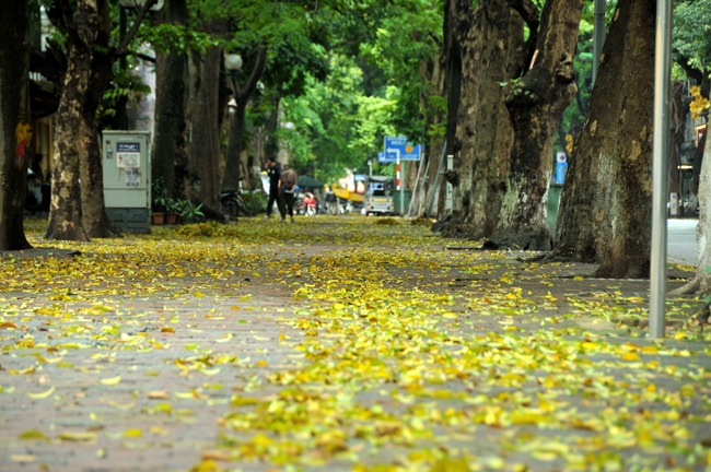 Lần đầu tổ chức Festival Thu Hà Nội